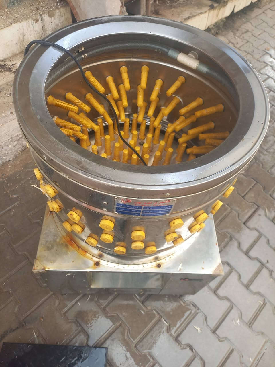 حلاسه دجاج • نظيفه • قفص وقبان