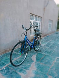 باسكل • نضيف • الديوانية