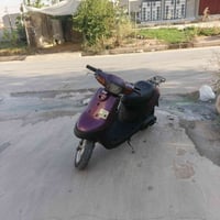 بوتين • مكينه شرط • ليت واشاير