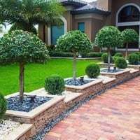 وفرت لكم عرض مميز جداً (في ابي غريب10مناصير السميلات) دوانم ونصف طابو ...