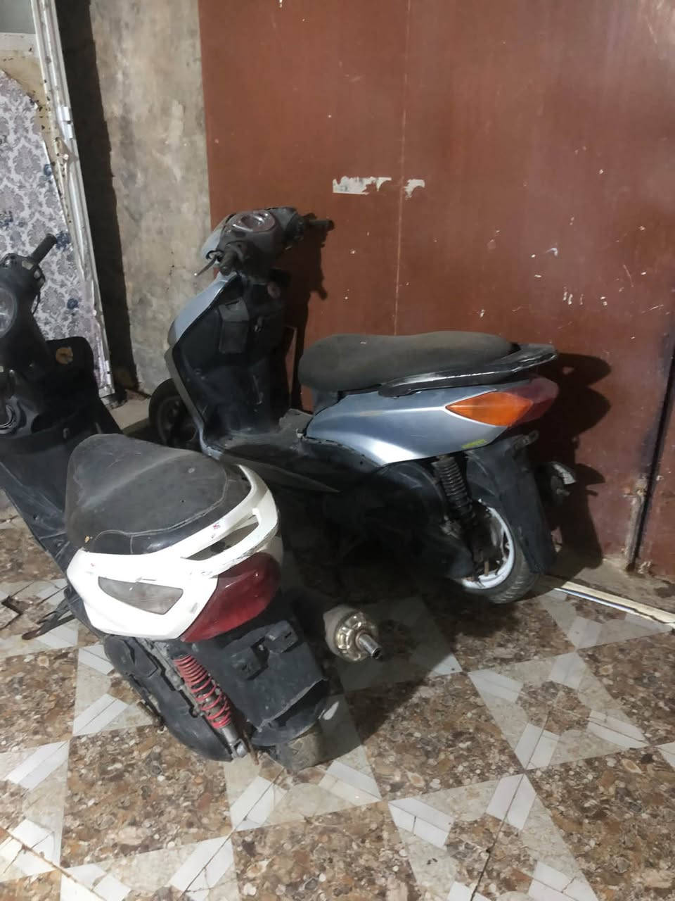 سكنس نثيه • ثعلب • ثنينهن