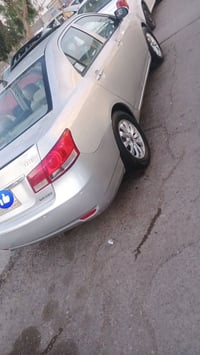 توماتيك • ٢٠١٣ • بدون صبغ