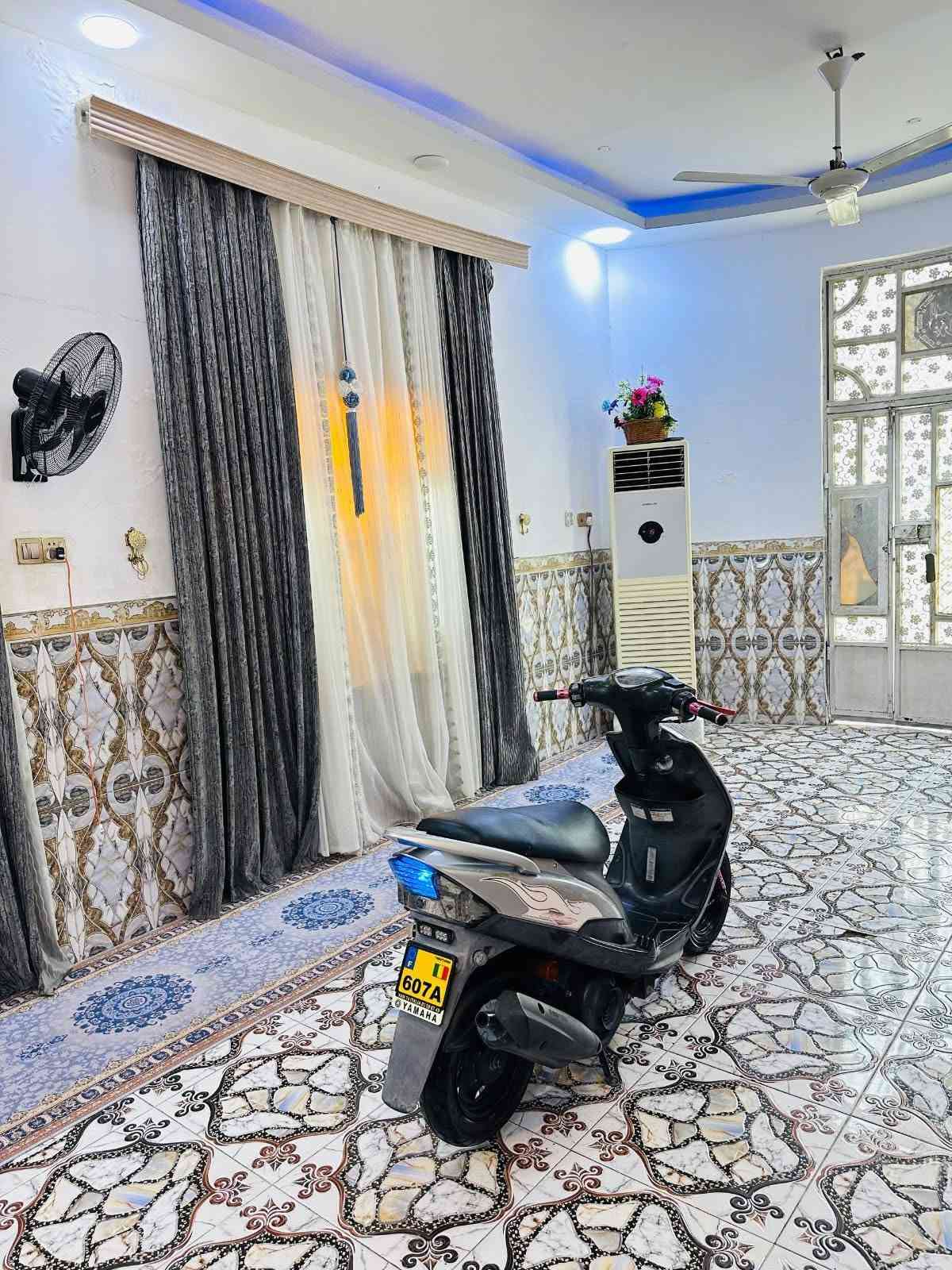 ماكس عدلة • ياباني • كفالة