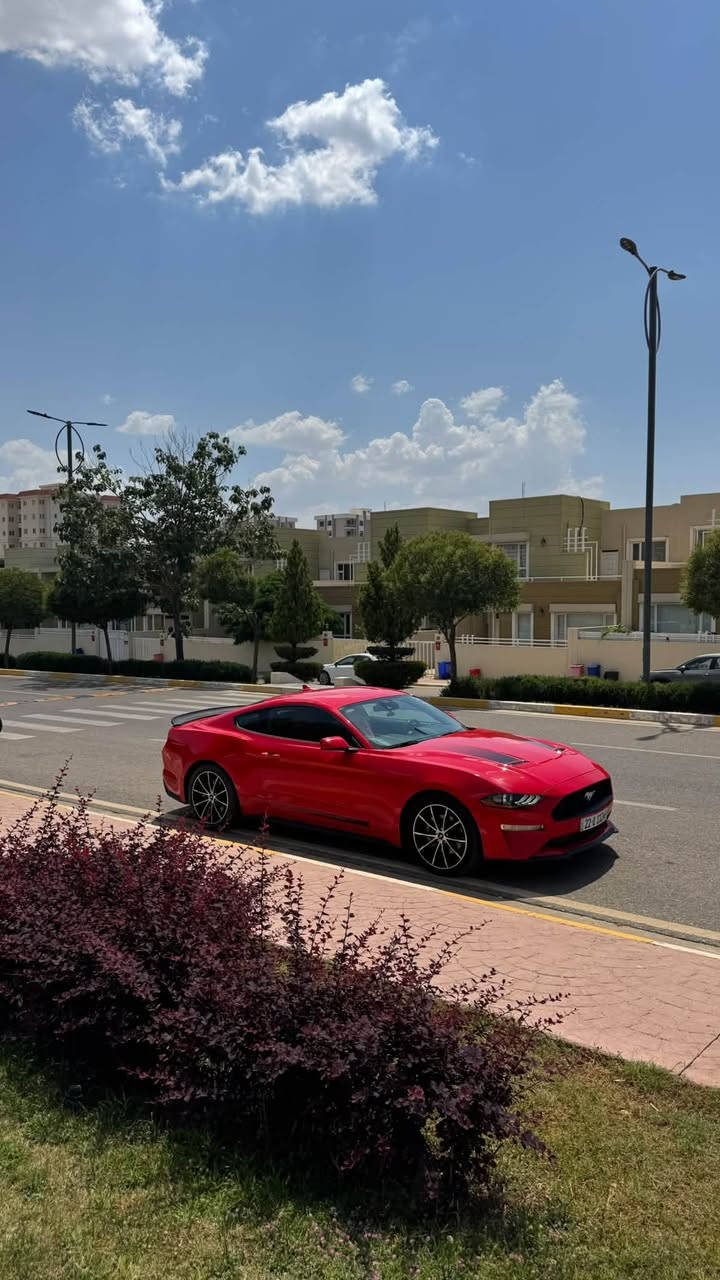 موستنك ايكوبوست • ٢٠٢٣ • احمر