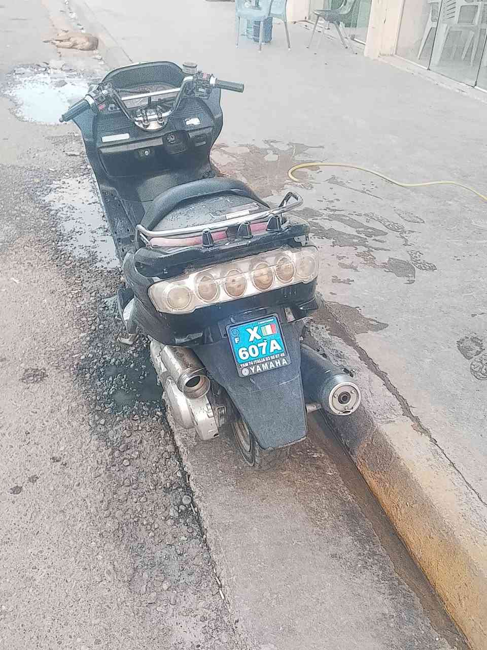 ماجستا • نقصها • أصلي