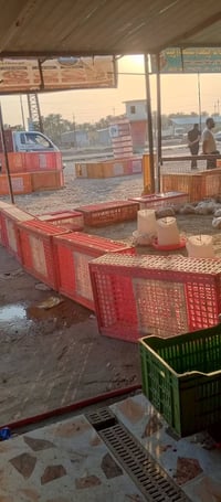 مجزره للبيع كامله العنوان ناحيه الرشيد سبب البيع عدم التفرغ الرقم 0784...