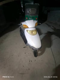 سبيسي • سكنس ياباني • معدل