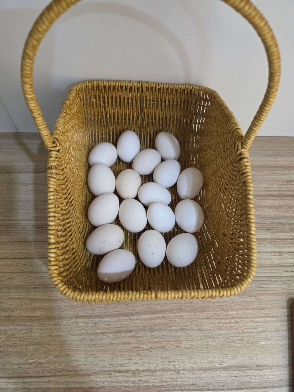بيض دجاج • فيومي • كلار