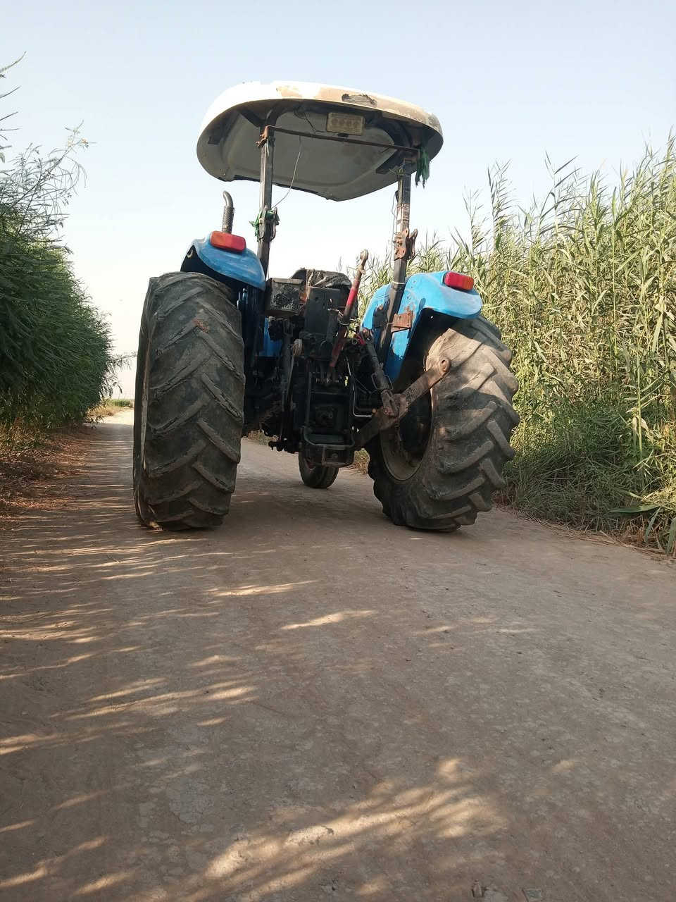 نيوهولند تك للبيع رقم وتحويل بغداد بسمي
***********
***********
