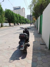 سكنس جبلي • نقوصات • تكمل