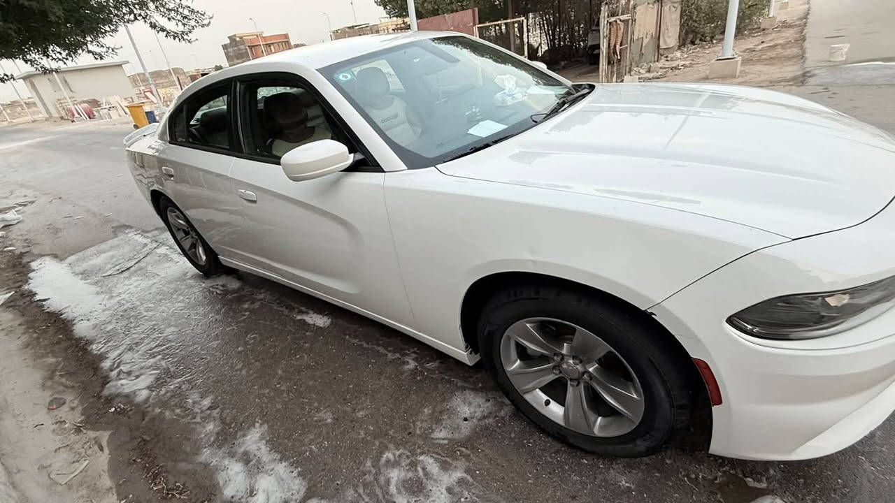 تشارجر SXT • ٢٠١٥ • كفالة