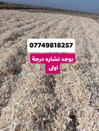 نشارة • درجة أولى • توصيل محافظات