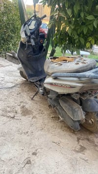 سكنس صيني • كفاله عامه • فج رياضي