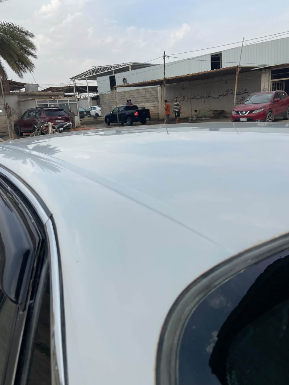 فراشة • ١٩٩٦ • بدون صبغ