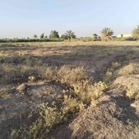 أرض زراعية • دونم ونص • الطيفيه القادسية