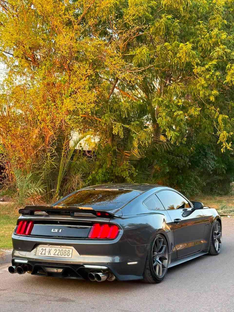🔥 للبيع أو المراوس 🔥
فورد موستنك GT موديل 2017

• كير عادي (Manual)
• الممشى: 49 ألف ميل
• 4 قطع صبغ بدون أي إيرباك 
• كاملة على آخر حبة
• شاشة SYNC 3
• دركه كاربون
• كزوز روش مع Active Exhaust

📍 الموقع: بغداد
***********
