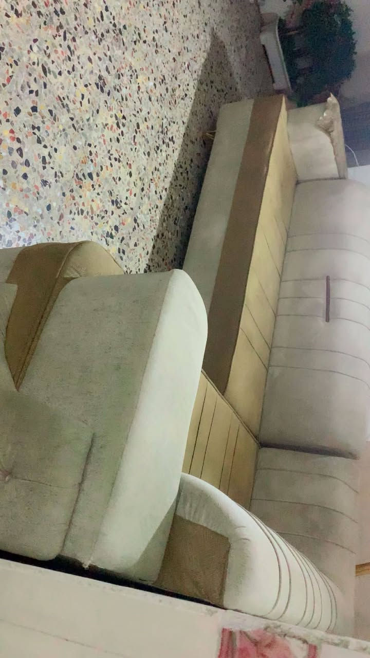 تخم • نضيف • بابل