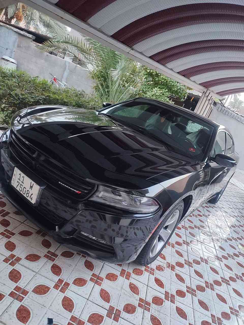 السلام عليكم
السلام عليكم دود جارجر 2016 وارد كندي حادثها باب الخلفي الجهه اليمنى السياره الباقي كفاله عامه شخوط وبارد ورصعات وحتى الدعاميات كفاله السياره ماشيه 68 مشي حقيقي برغي ما مفتوح بيها اللي يدور جديد اهلا وسهلا بيه السياره تختلف عن اخواتها استخدام شخصي وما مشتغله لا كراج ولا خطوط ولا طالعه السياره استخدامها كلش قليل السياره بدون ارباك كلها سليمه مواصفاتها عاديه تحكم ستيرن تبريد قطعتين ويل 18 بصمه وبصمه ابواب تشغيل عن بعد كشن كهرباء وبالعافيه اللي تكون من نصيبه تخم تاير استوني شاده وباتريستوني شاده واعيد واكرر السياره مو نفس باقي اخواتها الموديلها السياره اخت ال 23 التراي ومكينه كانه ما زيرو واللي يدور جديد يعرف قيمتها

سياره جانيها من الزيرو 

رقم بغداد دولي هزه وسنويه مجددات 

السعر 170 وبيها مجال 

للاستفسار الاتصال على الرقم التالي 

***********
