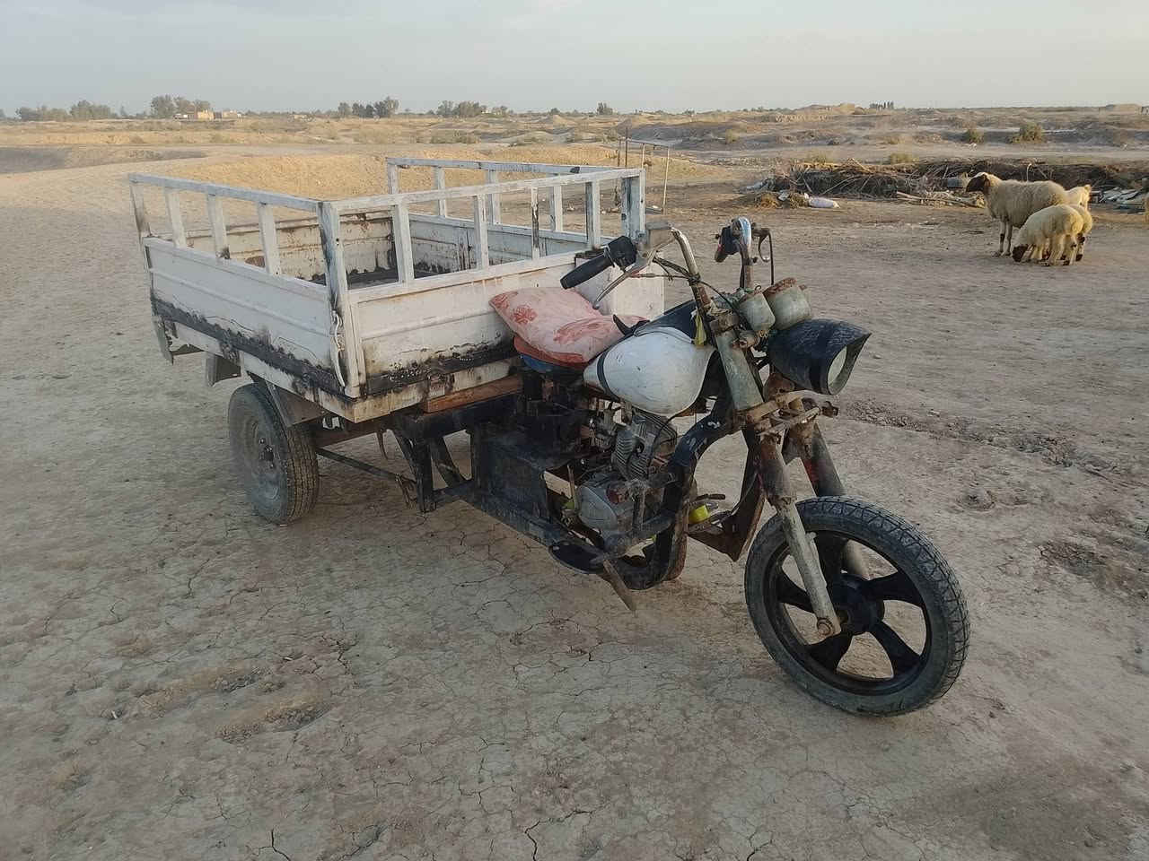 لسلام عليكم ستوتة متيار لبيع وراق صولي ركبة مكفولة بيها لحيم قليل بصاصي موديل209
***********
