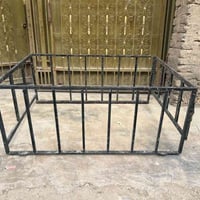 ستوته • محجل • ٧٠