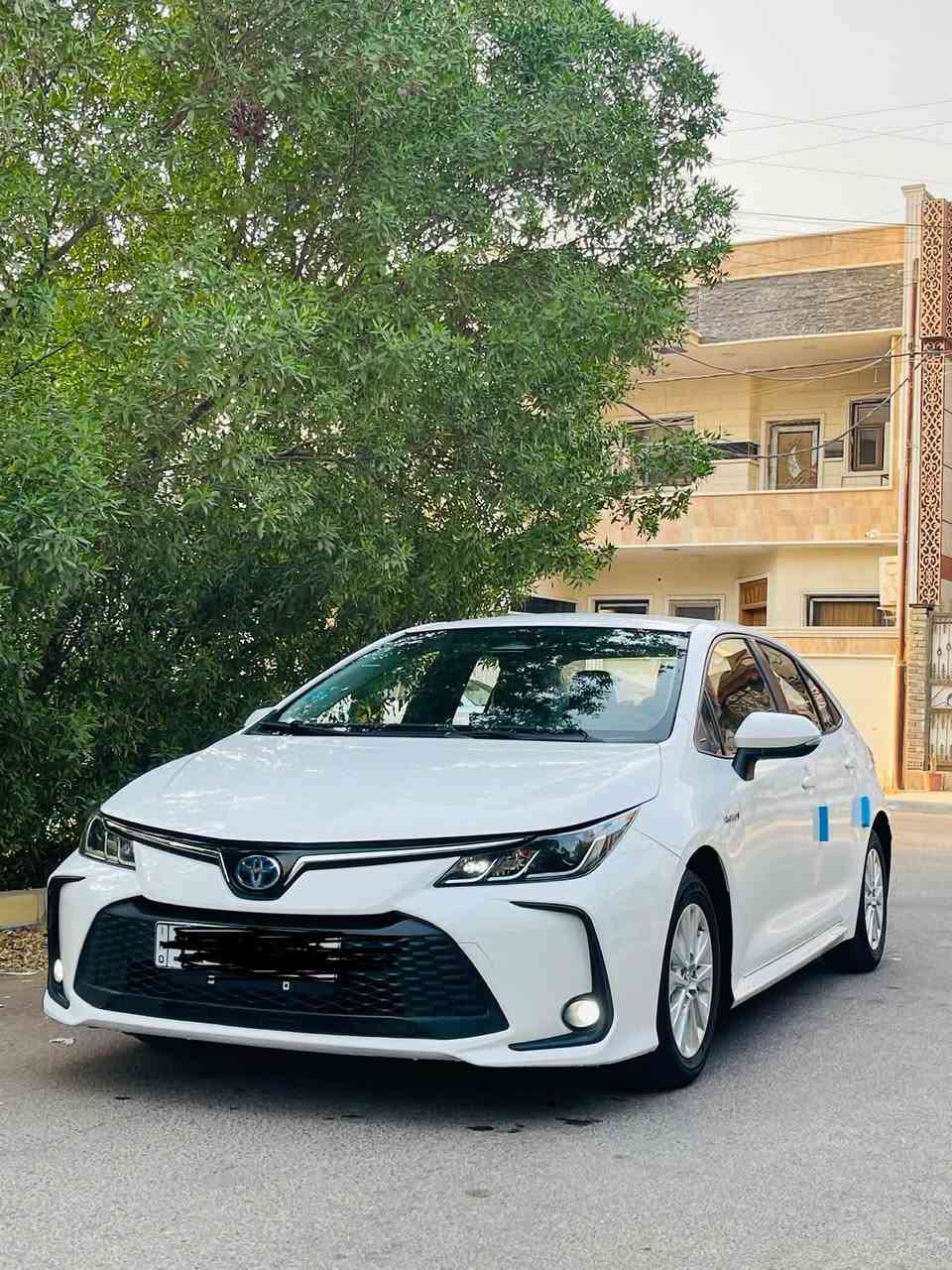 مره رخصت لأدمن المحترم  كورلاه للبيع شكل خليجي ام علامه زركه كفاله سياره  حلوه كلش أخت جديد  مكان بغداد  ماشيه 39   بسمي تحويل ثاني يوم *********** وتصل وتدلل

