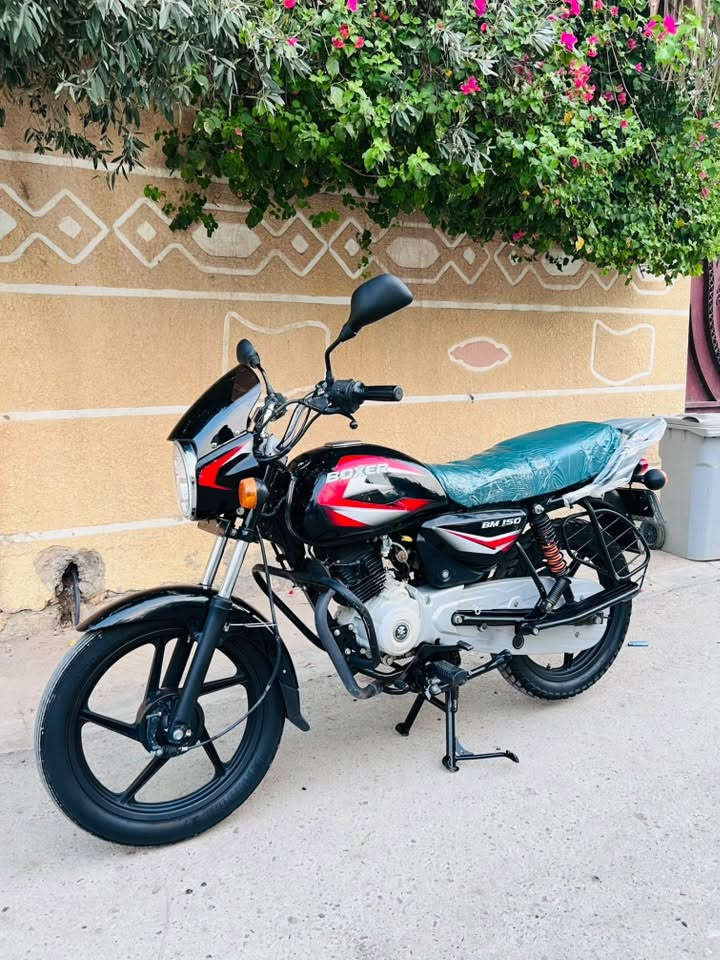 بوكسر • ٢٠٢٢ • كفاله عامه