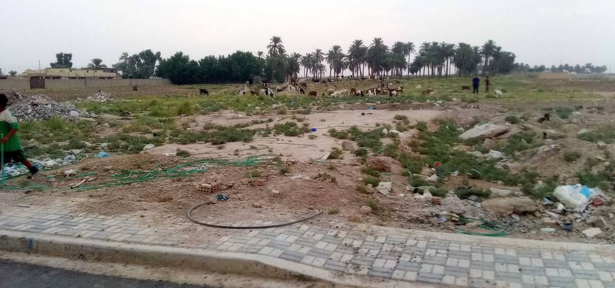 كاع ابو رشاد • ٥×٢٠ • طابو زراعي