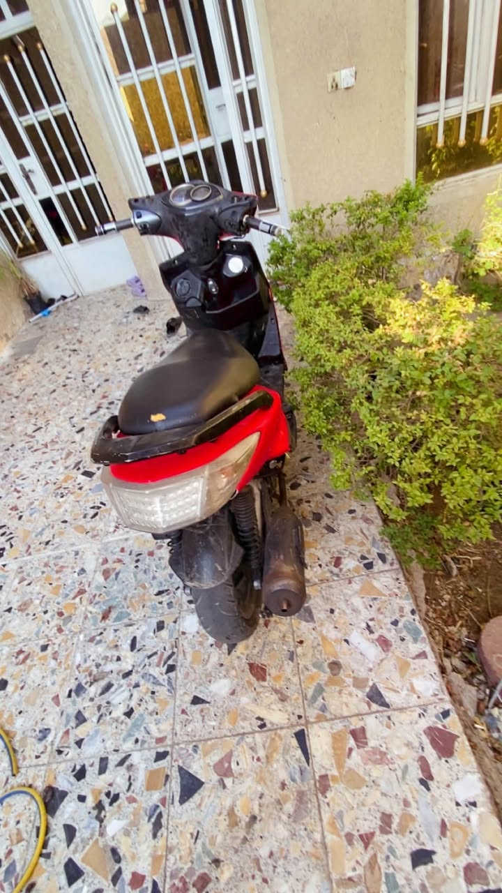 سلام عليكم سكنس فحل للبيع نوزل دراجه بوشه ٥٨ مزوده سلف رياضي كلج رياضي دراجه نضيفه طلعاعات لدراجه نضيفه سعره ٤٥٠ وبيه مجال بكانه بلديات بغداد ***********

