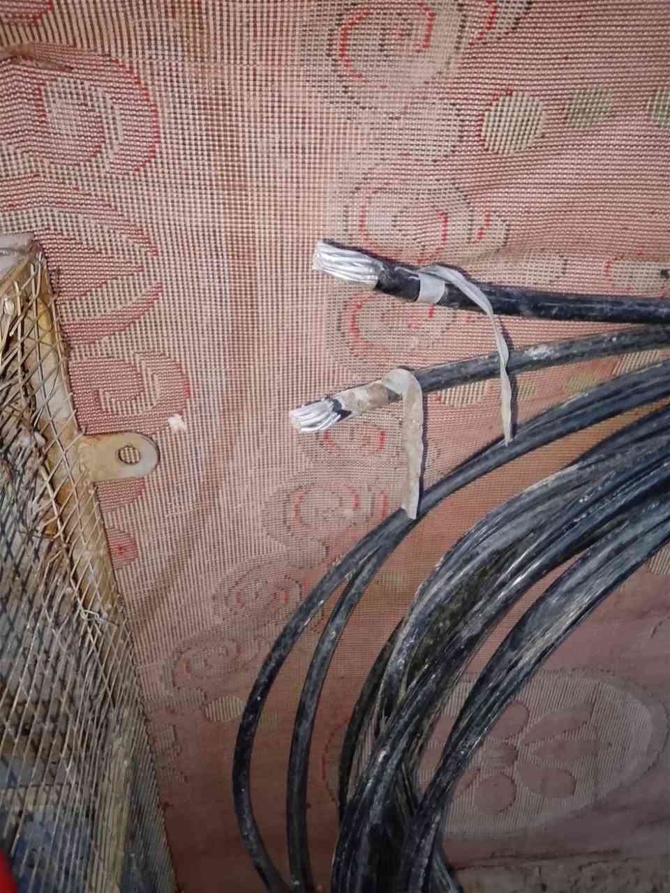 ضفيرة خطين • ٢٠متر