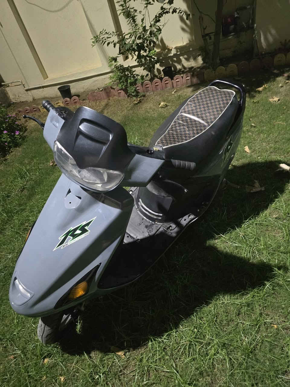 فراشة • فحل • زنون