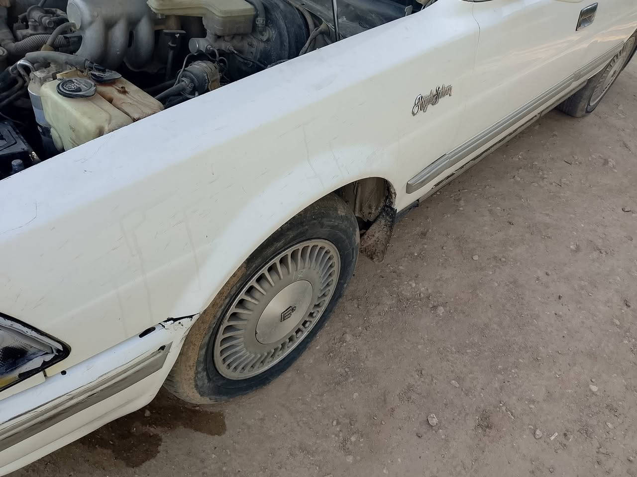 بيبان هارتوب لبيع جداد مكفولات من زلغ
***********
