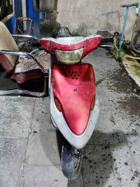 شغاله • كهربائيات شغاله • نقص تريشه