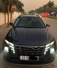 لمتد • وارد امريكي • بدون صبغ
