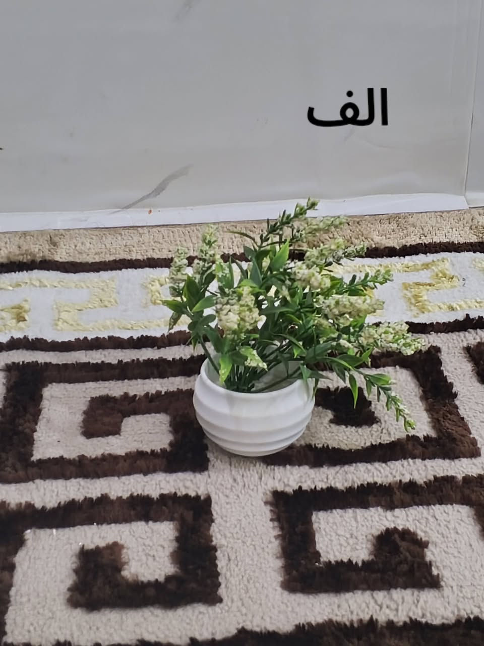 تخفيضات • توصيل العراق • خشب سنديان