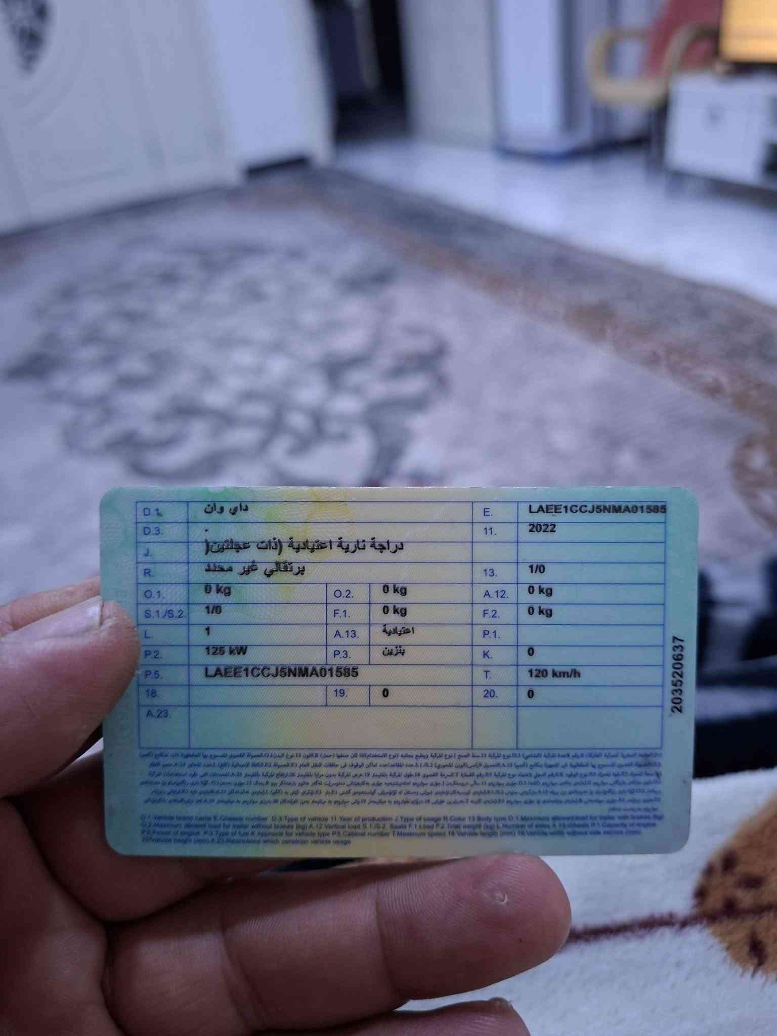 دايون نفخ • ٢٠٠ • موديل ٢٢