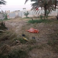عرصة ٦٠٠م • طابو زراعي • سند ٢٥