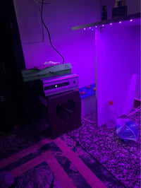 تواصل واتساب 07761749411 بغداد, العراق