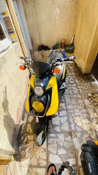 سكنس جبلي • مكفوله • الشعب