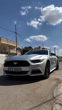 موستانغ V6 • ٢٠١٥ • رقم اربيل