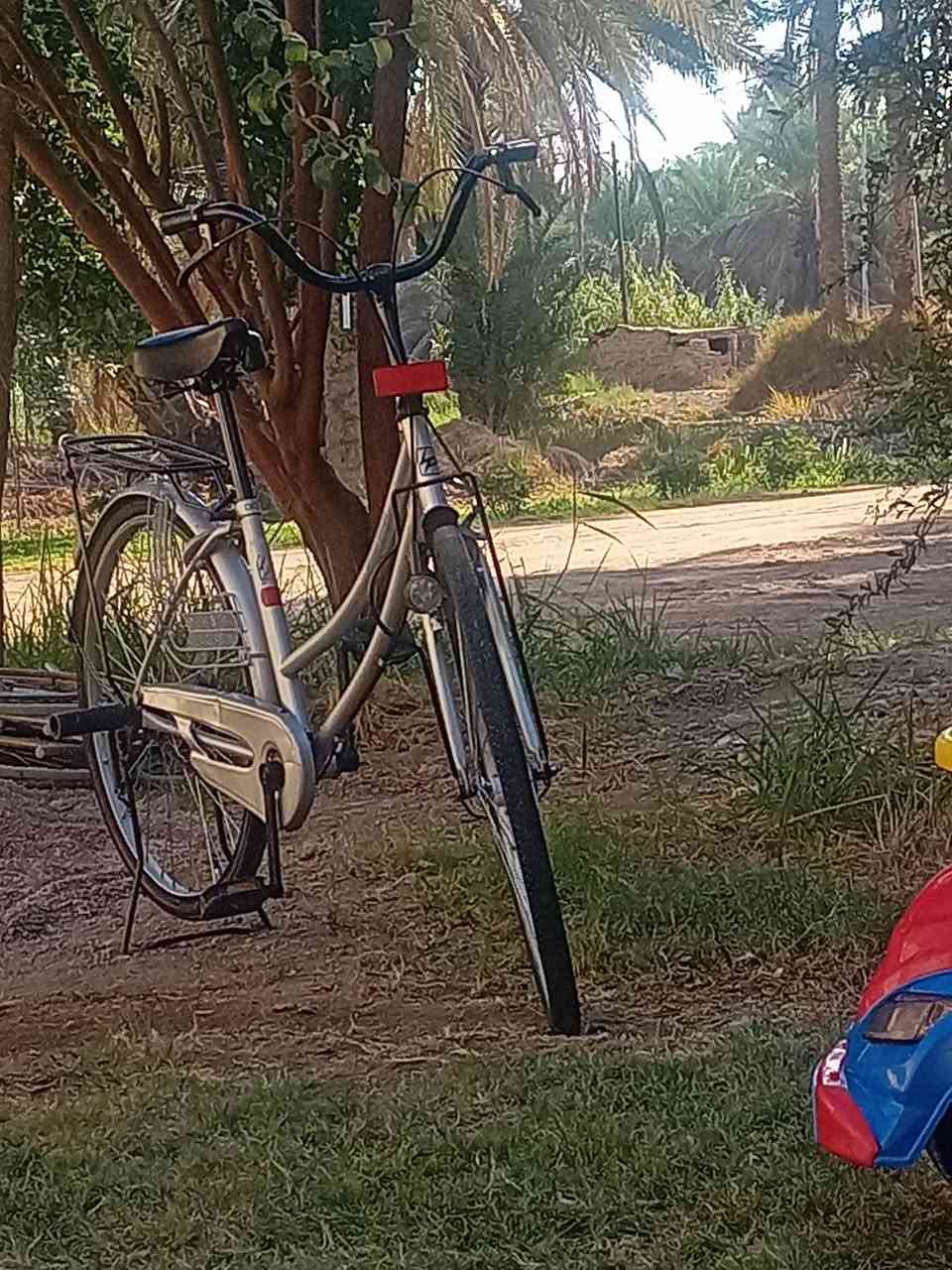 باسكل • موديل ١٩ • نجف عباسية