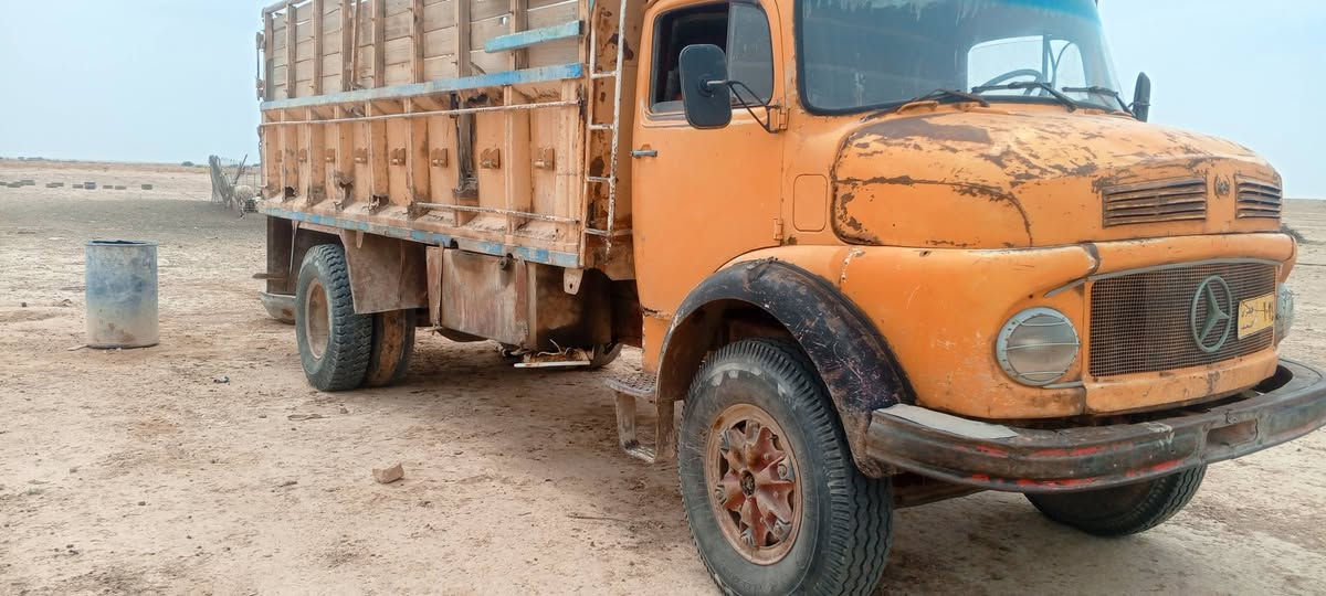 ابوردين • بلادي ٨١ • واتساب