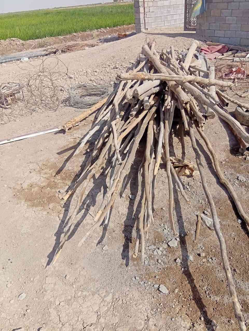 خشب للبيع 
معه سبم بي ار سي
شراي يتصل  ‏‪***********‬‏
