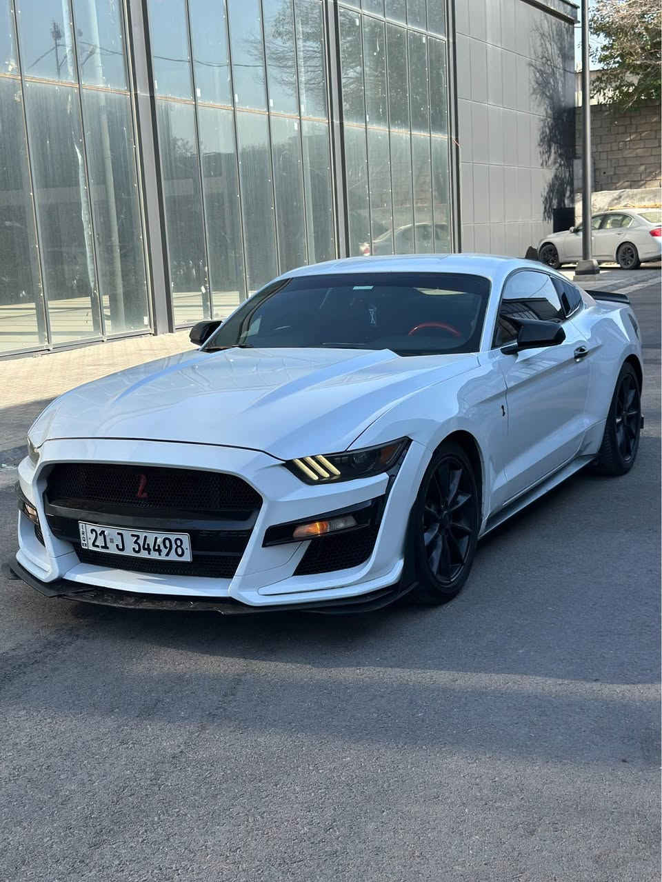 موستانغ • ٢٠١٦ • اكو بوست