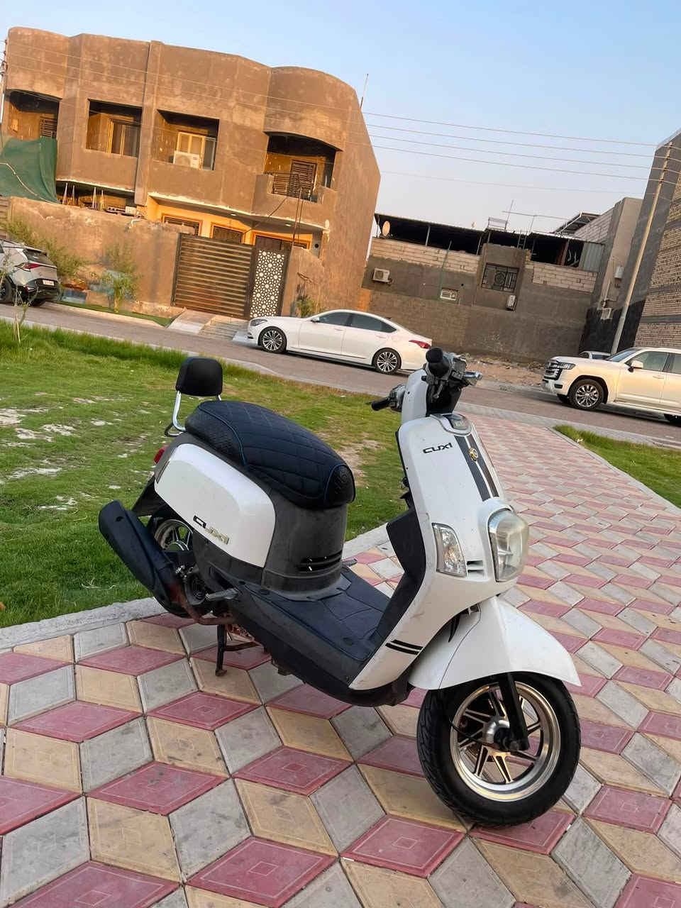 ماكس بوليسي كله ع لبلاد شرط مكينه بلاد مامفتوحه ولا ملعوب بيه كلوبات زنون ربايعه كلوب ملونات نكره سلف اصليه كابريته اصليه مكينه خرررسه مكينه نشطه شرط تجي وشوف بعينك السعر900
الرقم
***********
