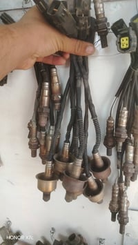 حساس صالنصه • كوري وياباني • جملة
