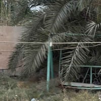 زحليكة • مرجوحة • الناصرية