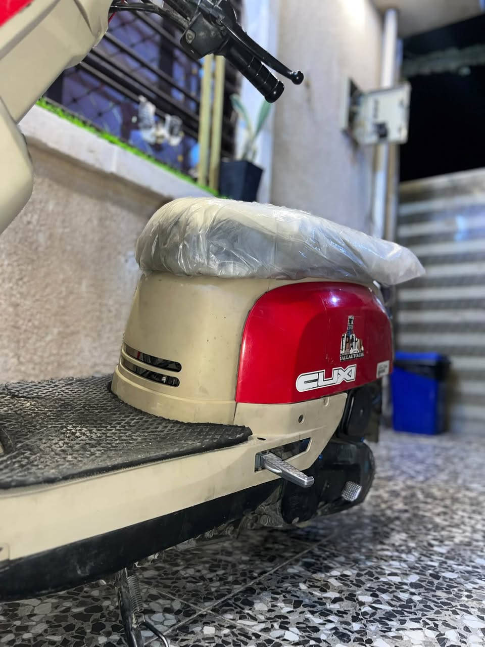 بوليس • نضيفه • لايت زينون
