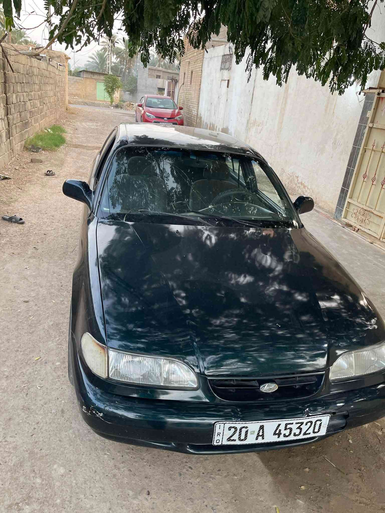 سوناتا ١٩٩٥ • زيتوني • المقداديه