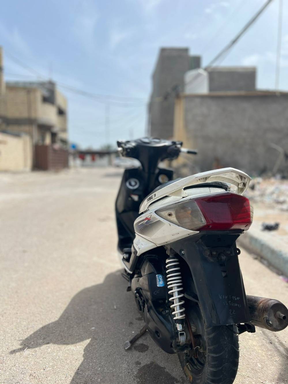 سكنس فحل • ياباني • نفخ