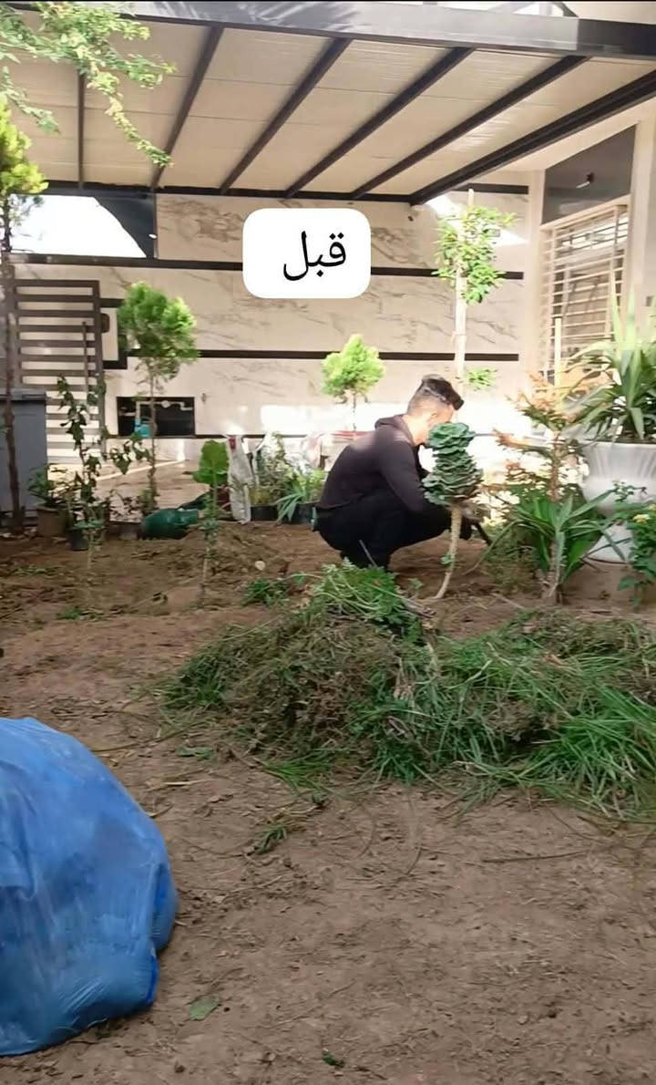 لا توجد تفاصيل

نص مكتوب في الصور:
- ابو علي
- حرفي حدائق
- نقدم لكم خدمات متكاملة للعناية بالحدائق وتنسيقها
- إدامة وترتيب الحدائق
- تقليم وتشكيل الأشجار والاسيجة النباتية
- تسميد ومكافحة الآفات الزراعية
- تطعيم الشتلات والأشجار
- زراعة الأشجار والنباتات
- قص وتنسيق الثيل والمسطحات الخضراء
- للتواصل والاستفسار:
- *********** - ***********
- Qussai_Gardens
- قبل
- بعد ***********